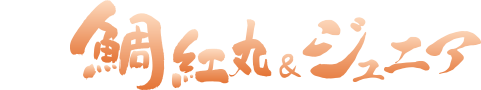 �V�����` �V���D�@��g�ہE�W���j�A